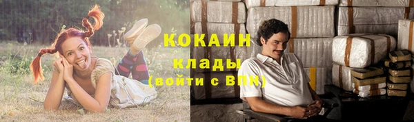 ГАЛЛЮЦИНОГЕННЫЕ ГРИБЫ Белокуриха
