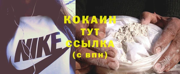 ГАЛЛЮЦИНОГЕННЫЕ ГРИБЫ Белокуриха