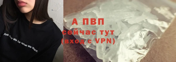 стаф Беломорск