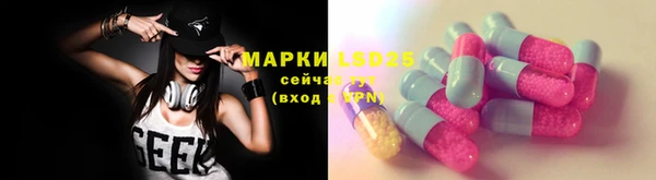 ГАЛЛЮЦИНОГЕННЫЕ ГРИБЫ Белокуриха