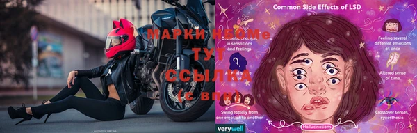 ГАЛЛЮЦИНОГЕННЫЕ ГРИБЫ Белокуриха