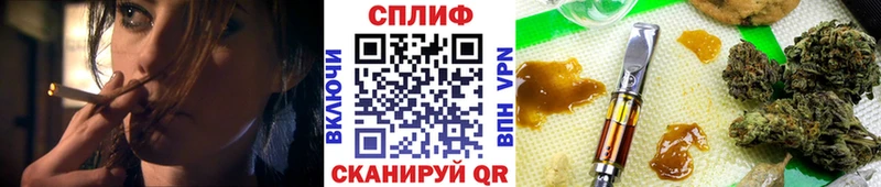 Купить закладки  Сясьстрой  Каннабис марихуана 